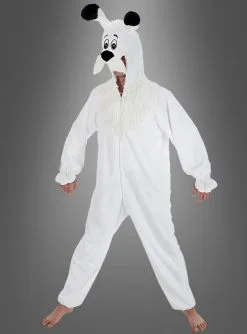 Idefix Kostüm Hund Für Erwachsene Aus Asterix