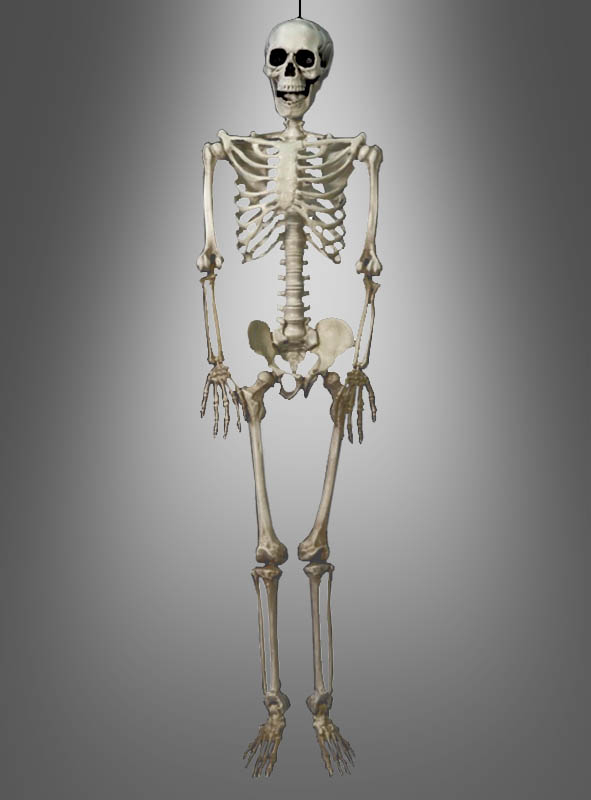 Skelett 90cm Hängende Halloween Deko