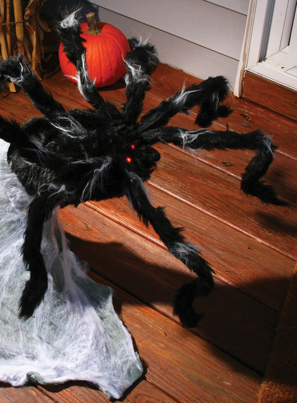 Springende Riesenspinne Animiert