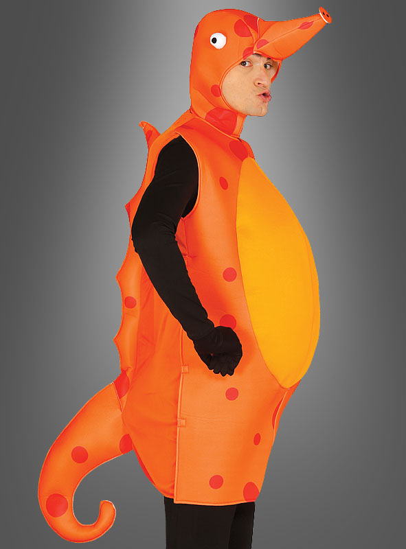 Seepferdchenkostüm Für Erwachsene – Bild 3