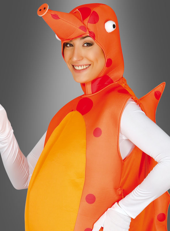 Seepferdchenkostüm Für Erwachsene – Bild 2